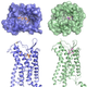 Illustration for article titled New discovery brings us one step closer to preventing HIV infections
